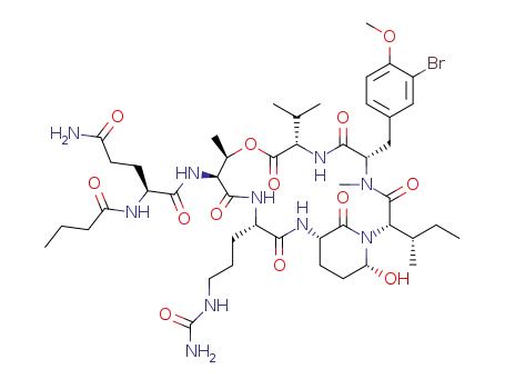 1007391-44-7